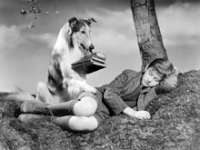 1944 Lassie Come Home Roddy Mc Dowall & Lassie